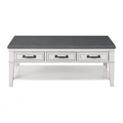 Del Mar 48 in. Antique White/Gray Large Rectangle Wood Coffee Table with 3-Drawers by Martin Svensson Home