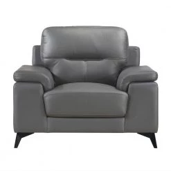 Argonne Dark Gray Leather Accent Chair by EVERGLADE HOME