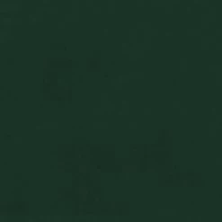 Ceylon Forest Green Velvet Tufted Back Accent Chair by EVERGLADE HOME -EVERGLADE HOME Shop forest green everglade home accent chairs lx 1297fg 1nn 1f 1000