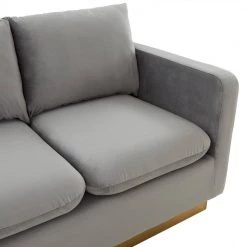 Nervo 55" Mid-Century Modern Upholstered Velvet 2-Seater Loveseat With Gold Frame in Light Grey by Leisuremod -EVERGLADE HOME Shop light grey leisuremod loveseats ns55lgr 4f 1000