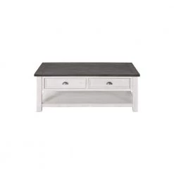 Monterey 50 in. White/Gray Large Rectangle Wood Coffee Table with Drawers by Martin Svensson Home